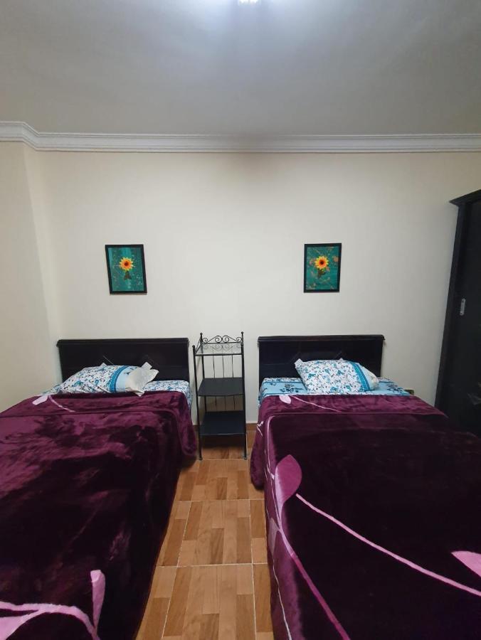 Séjour chez l'habitant Nasr - 15minutes From Airport - Private Single With Shared Bathroom - غرفة مفردة خاصة مع حمام مشترك - Simple Privee Avec Salle De Bain Partagee - одноместный отдельный номер с общей ванной комнатой -